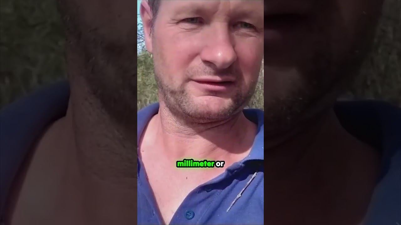 Building Stronger Walls, One Nail at a Time! смотреть онлайн
