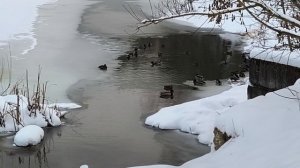 Сериал Стая.Серия 2."Новый Год". (2025-2026).