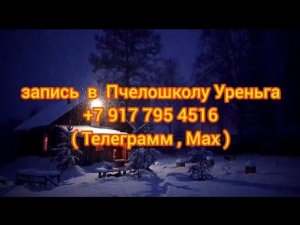 Начинающим пчеловодам