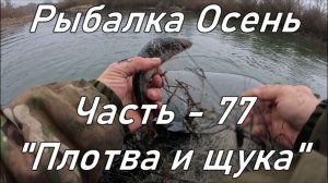 Рыбалка Осень. Часть - 77. "Плотва и щука".
