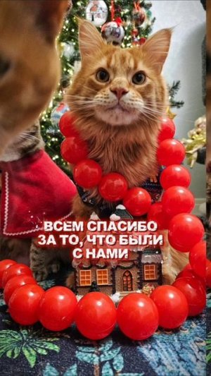 С Новым годом