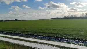 С Новым годрм!!!