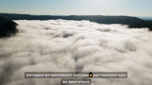 ЗАСТОЙ УБИРАЕТ МГНОВЕННО! Метод Микулина для Печени и