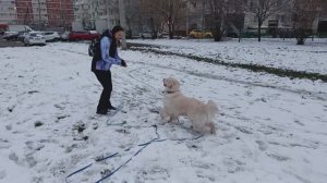 Бабах и обратно