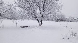 Я и моё поздравление С Наступающим Новым годом!