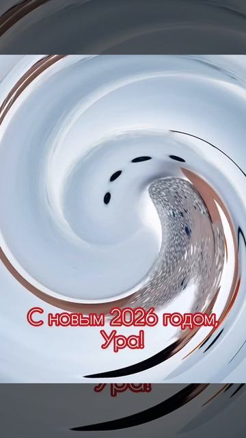 Video.Guru_20251231_130238062.mp4
