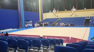 Мяч Художественная гимнастика Васильченко София