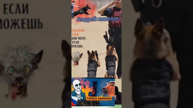 Разносы от Савелия смотреть онлайн