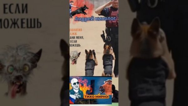 Разносы от Савелия