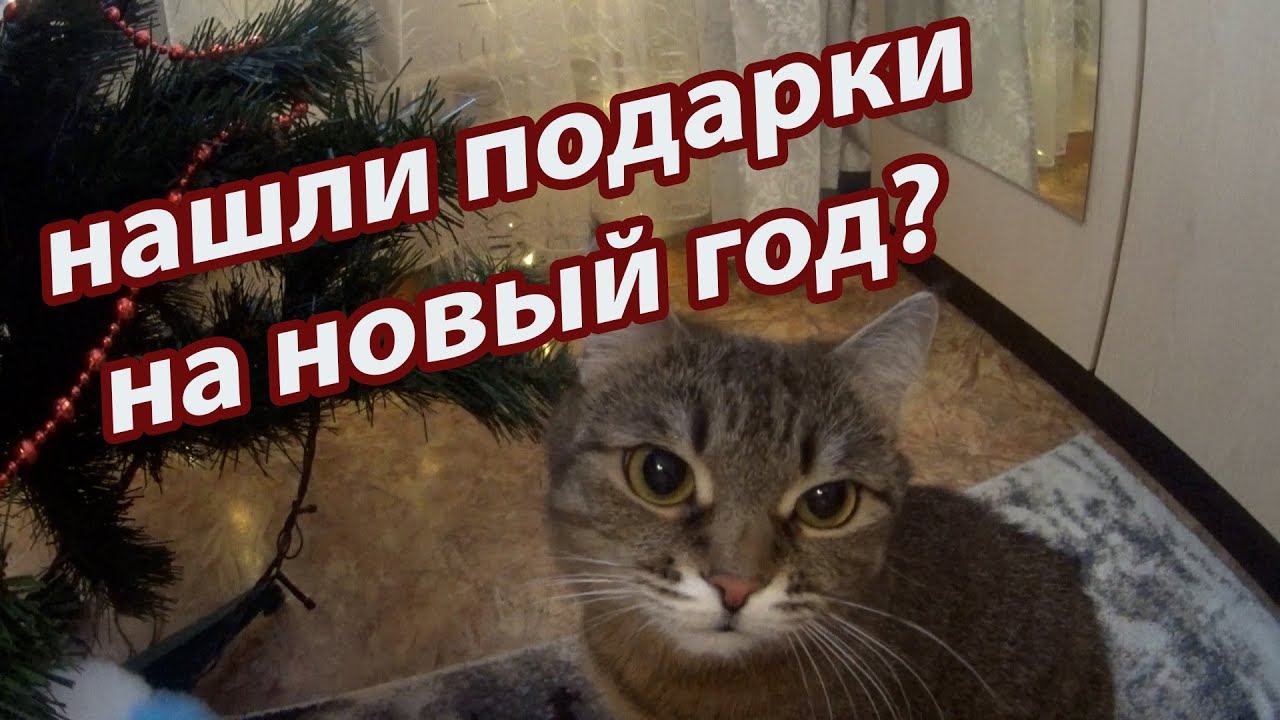 Ищем подарки на новый год смотреть онлайн