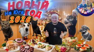 НОВЫЙ 2026 ГОД 🎄 На Юге😍❤️ #голубицкая #новыйгод ##азовскоеморе #смешалкины #новыйгод2026