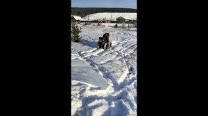 Первый выезд