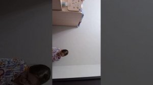 Делаем сквиш с Майей Клем
