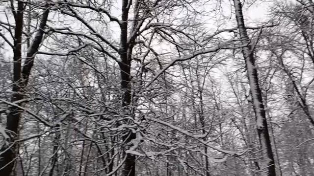 #зима пришла полным ходом в наш город смотреть онлайн