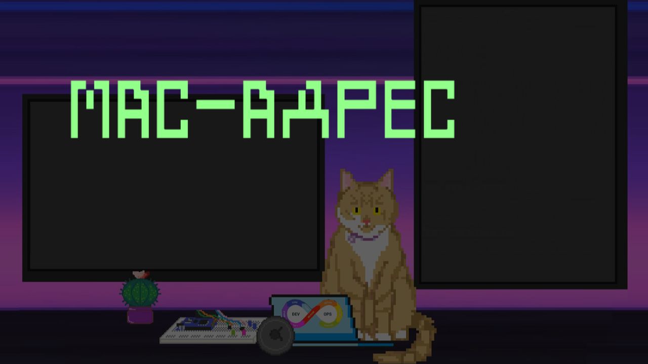 MAC- адрес | Заметки оцифрованного кота