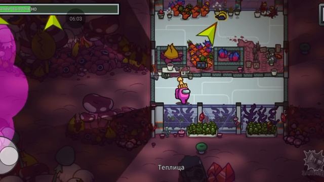 Among Us прохождение #24