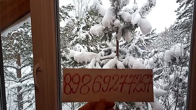 VID_20251231_092829.mp4 смотреть онлайн