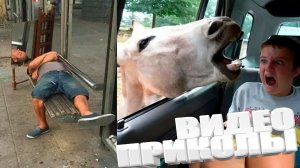 ВИДЕОПРИКОЛЫ \ КРУТЫЕ ПРИКОЛЫ 2025 \ НОВЫЕ ПРИКОЛЫ \ СМЕШНЫЕ ПРИКОЛЫ 2025 ЮМОР