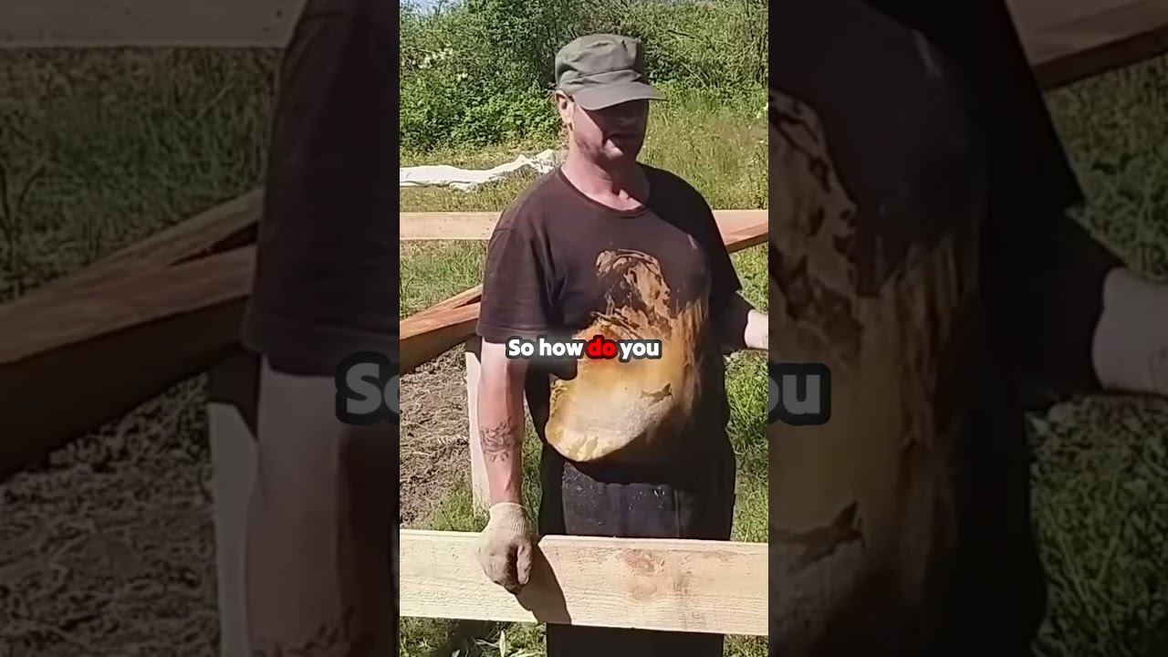 Why You Can't Spray Timber After Installation #framehouse #russia #diy #selfbuilding смотреть онлайн