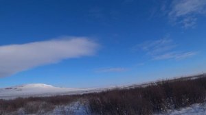 Охота на зайца - Предновогодняя