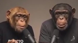 Жерех и Новый год