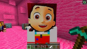 СЛЕЖКА ЗА РАЙДЕРОМ EXE - ЩЕНЯЧИЙ ПАТРУЛЬ В 3 ЧАСА НОЧИ В МАЙНКРАФТЕ (1)