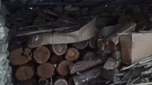 30,31 декабря 2025г.Зима пришла.С новым годом!!! )))