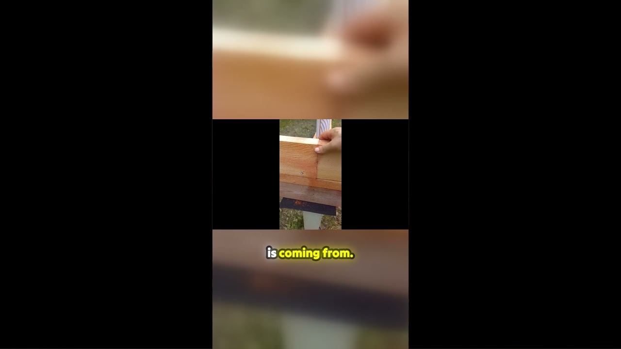 How Warped Timber Can Make Your House Freezing Cold смотреть онлайн