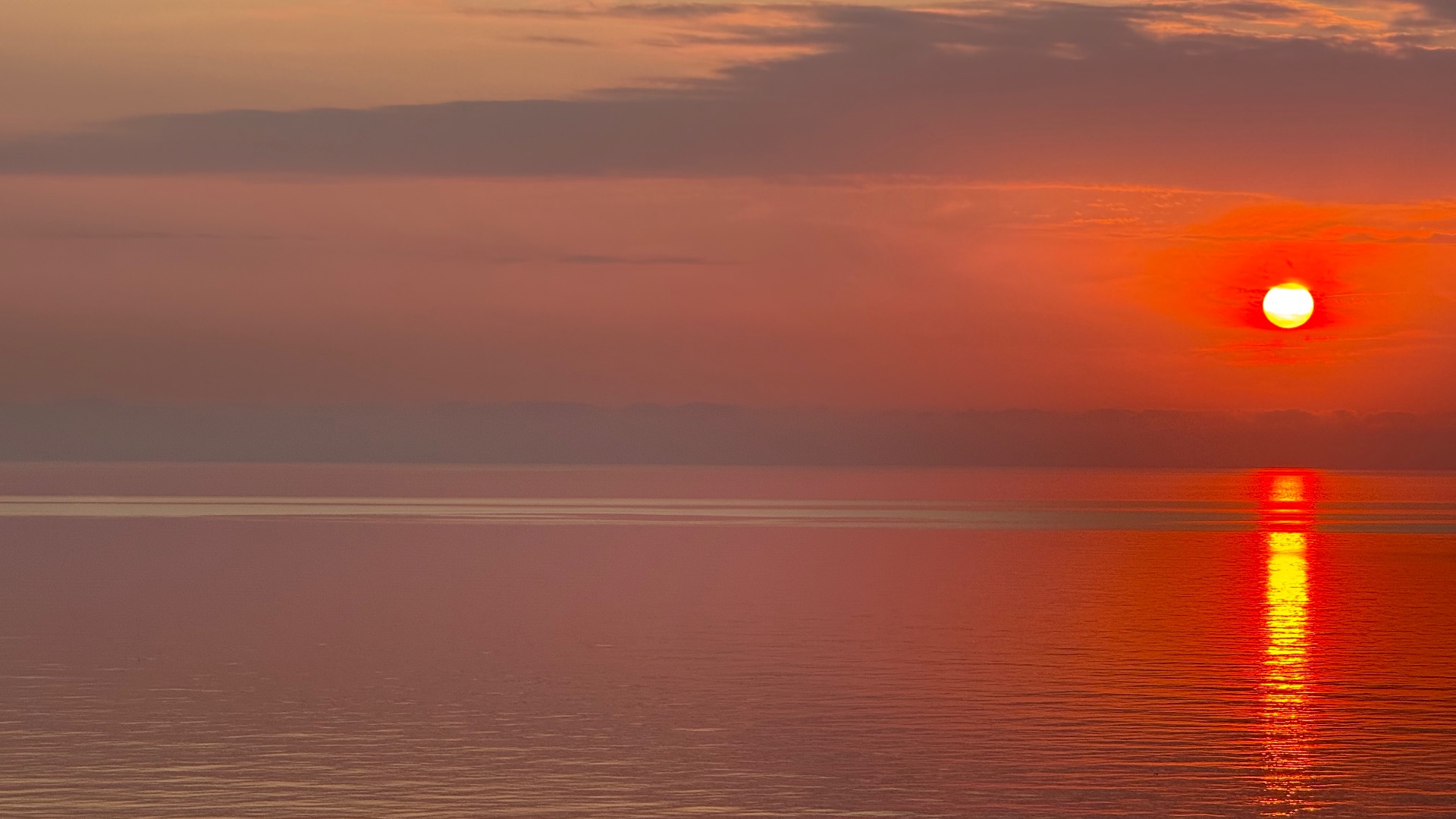 South Coast Memories