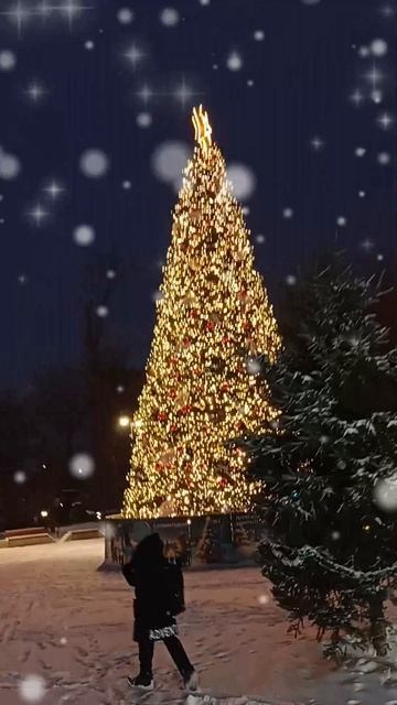 С Наступающим новым 2026.mp4