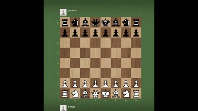 Шахматы, как часть мировой культуры смотреть онлайн