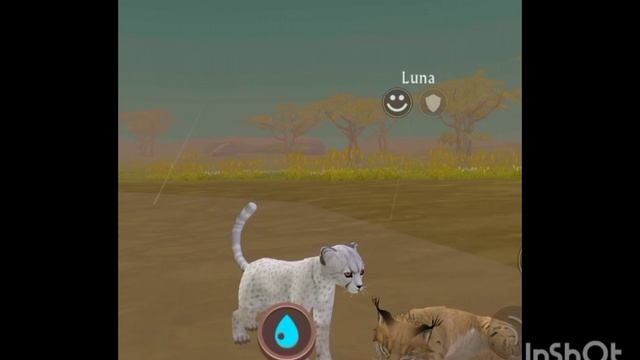 Мини фильм Wildcraft "Не такая как все" 6 серия смотреть онлайн