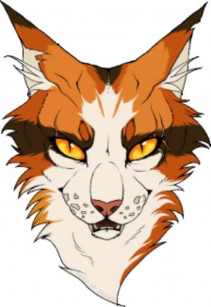 новогодний стрим