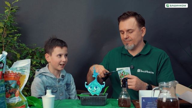 Выращиваем витаминки на подоконнике. Видео-инструкция смотреть онлайн