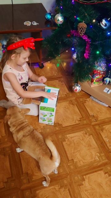 Оскар - С новым годом !!!