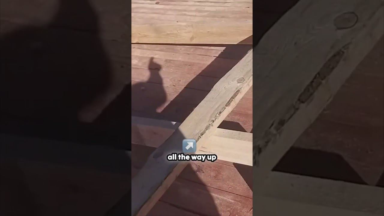 Transform Old Timber into a Construction Gem! смотреть онлайн