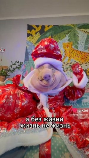 Поздравление Хряка с НГ 🎄🎉