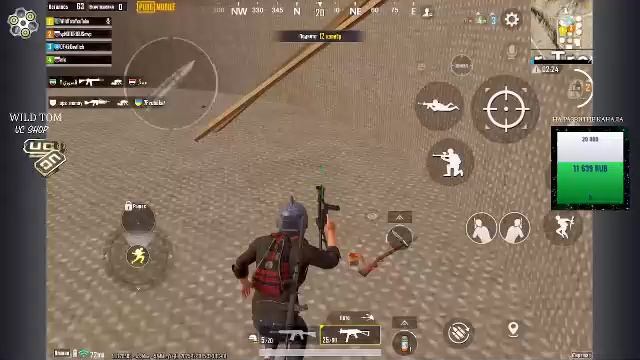 LIVE: WildTom_YouTube