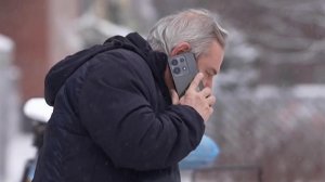 В новогоднюю ночь и 1 января для абонентов "Билайна" все звонки по России будут бесплатными.