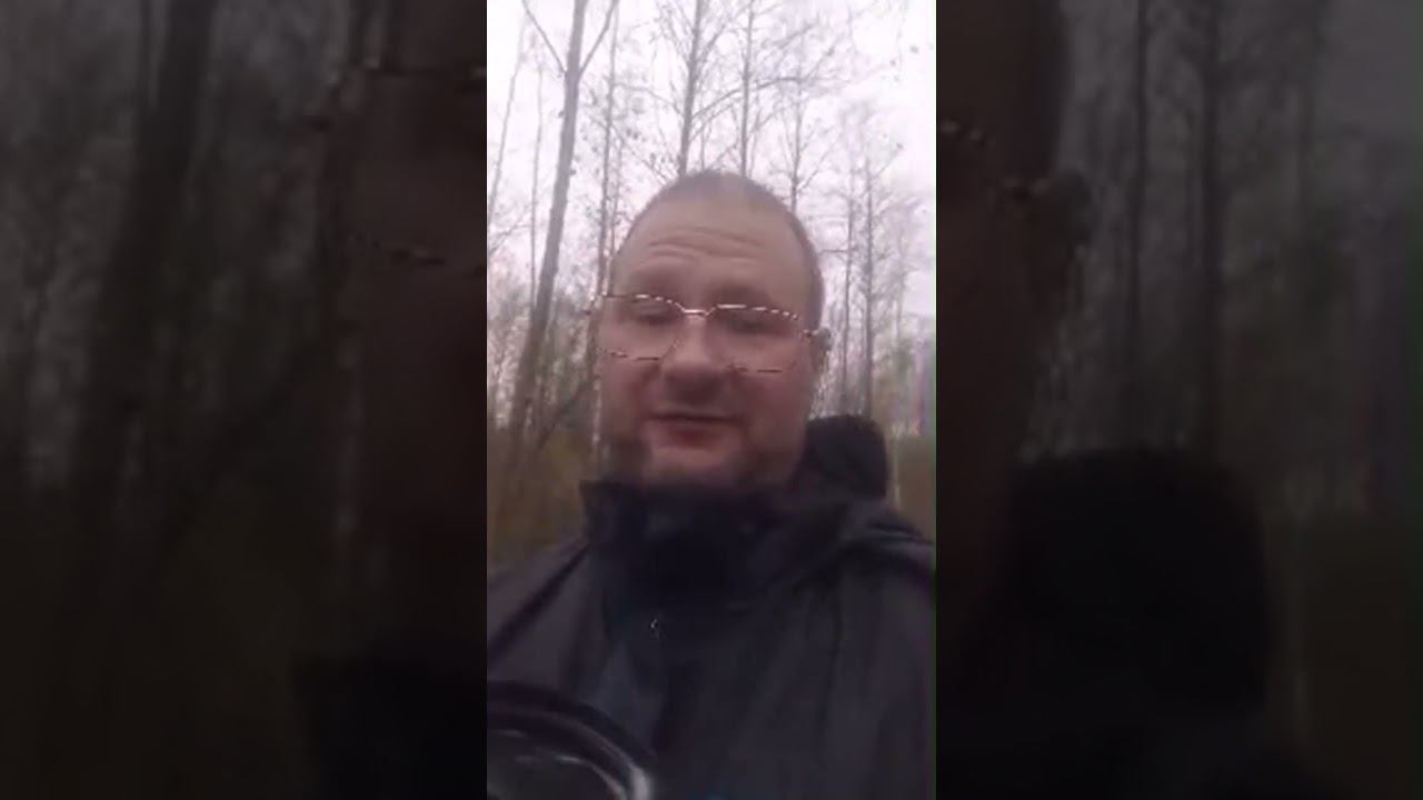 Live highlight смотреть онлайн