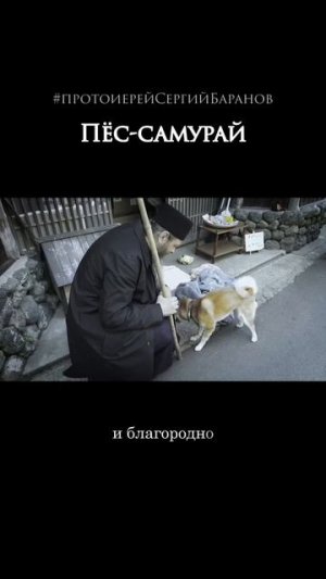 Пёс-самурай