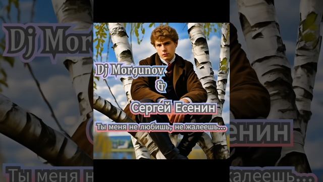 Dj Morgunov & Сергей Есенин Ты меня не любишь, не жалеешь...mp4