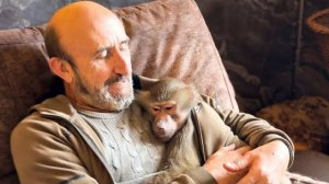 Мы хотим ПОЗНАКОМИТЬ ЛЮСЬКУ И НИКОЛЬ, мама ушла за ней, а Люся как-будто ПРЕДЧУВСТВУЕТ И ПЕРЕЖИВАЕТ!