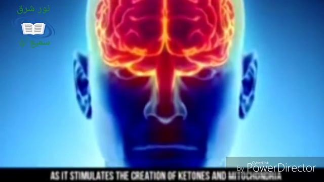 ☝️☝️Как пост влияет на наш мозг ☝️☝️ смотреть онлайн