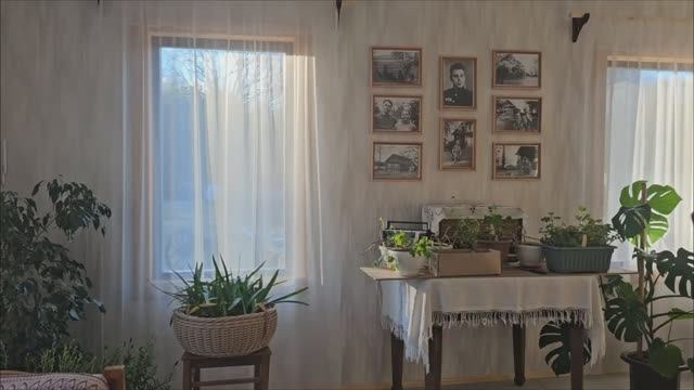 Хутор Замошье , ПЕЧКА СНОВА КАК НОВАЯ , САНУЗЕЛ ПОЧТИ ГОТОВ смотреть онлайн