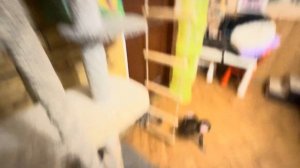 Анфиса жестко отслеживает каждую каплю молока пронесенную мимо ее рта, Лорика молоко не исключение!