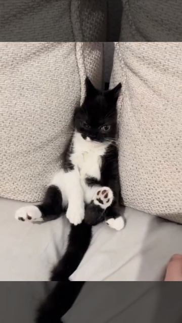 Доброе утро смотреть онлайн