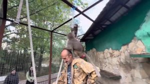 Люся дождалась Анфису и устроила ей с Владом ЖЕСТКИЙ ОСМОТР, никто не уйдет недосмотренным)))