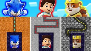 ВЫБЕРИ ПРАВИЛЬНЫЙ ЛАБИРИНТ ЧТОБЫ ВЫЖИТЬ - ЩЕНЯЧИЙ ПАТРУЛЬ И СОНИК