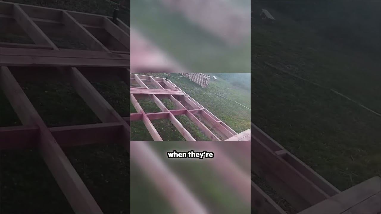 Witness the Triumph of Construction! смотреть онлайн